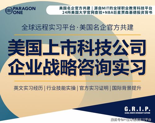美国上市科技公司的企业战略与技术开发 远程实习的机遇与挑战